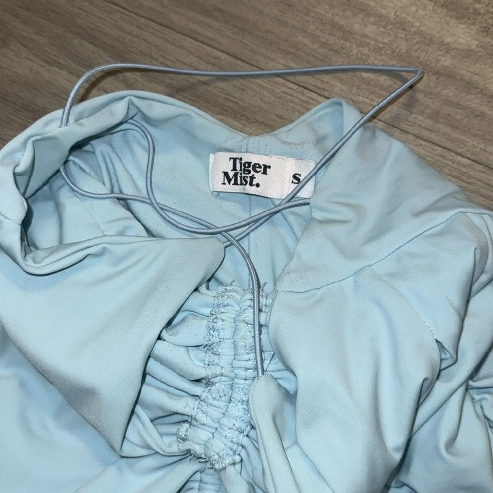 Tiger Mist Mini Ruched Dress - Picture 2 of 4